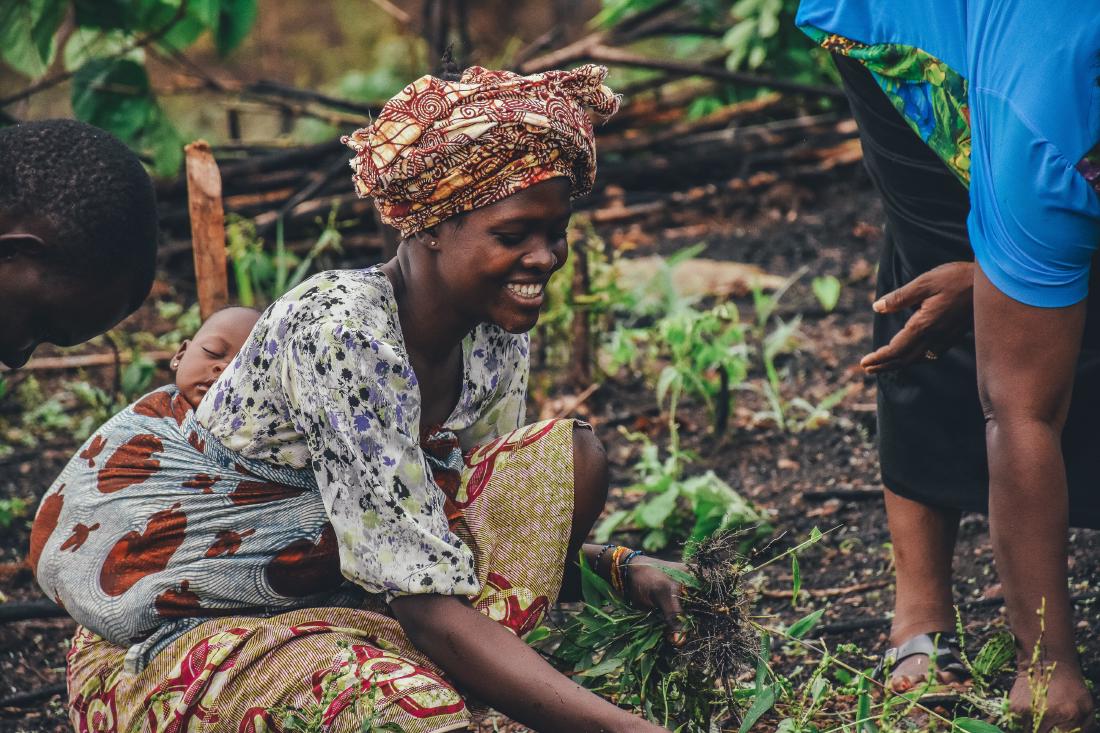 a woman harvesting rich crops