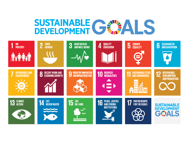 UN Sustainable Development Goals