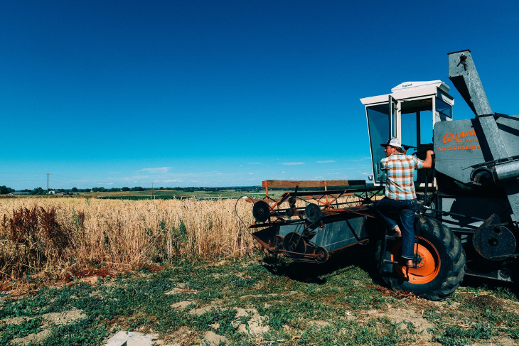 farmer with wheat combine