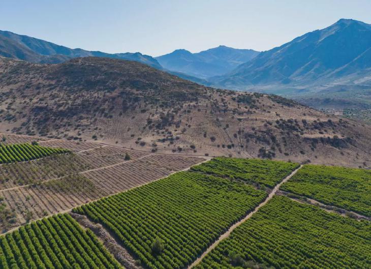 irrigated farmland