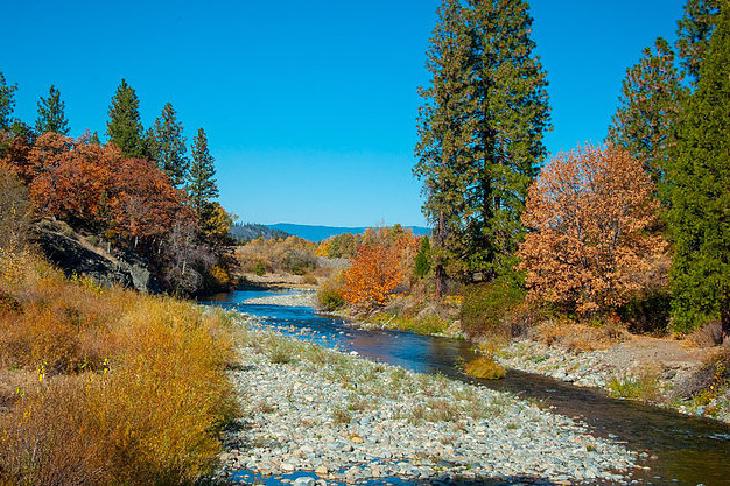 Scott River landscape